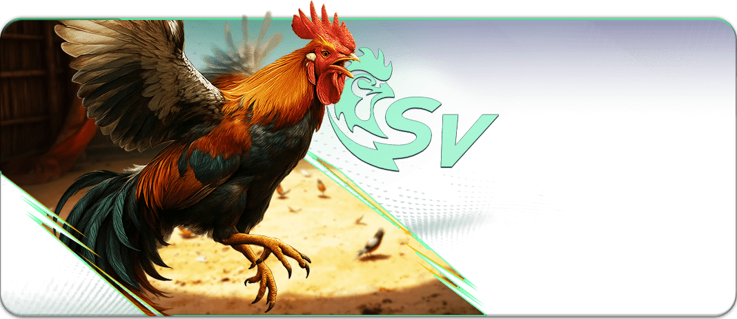 sport-sv388