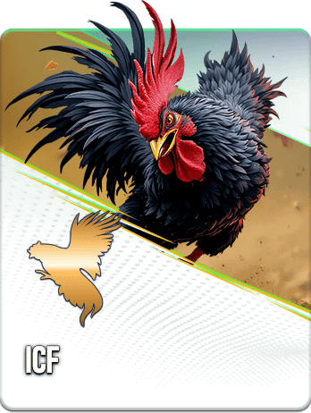 ICF-ICF